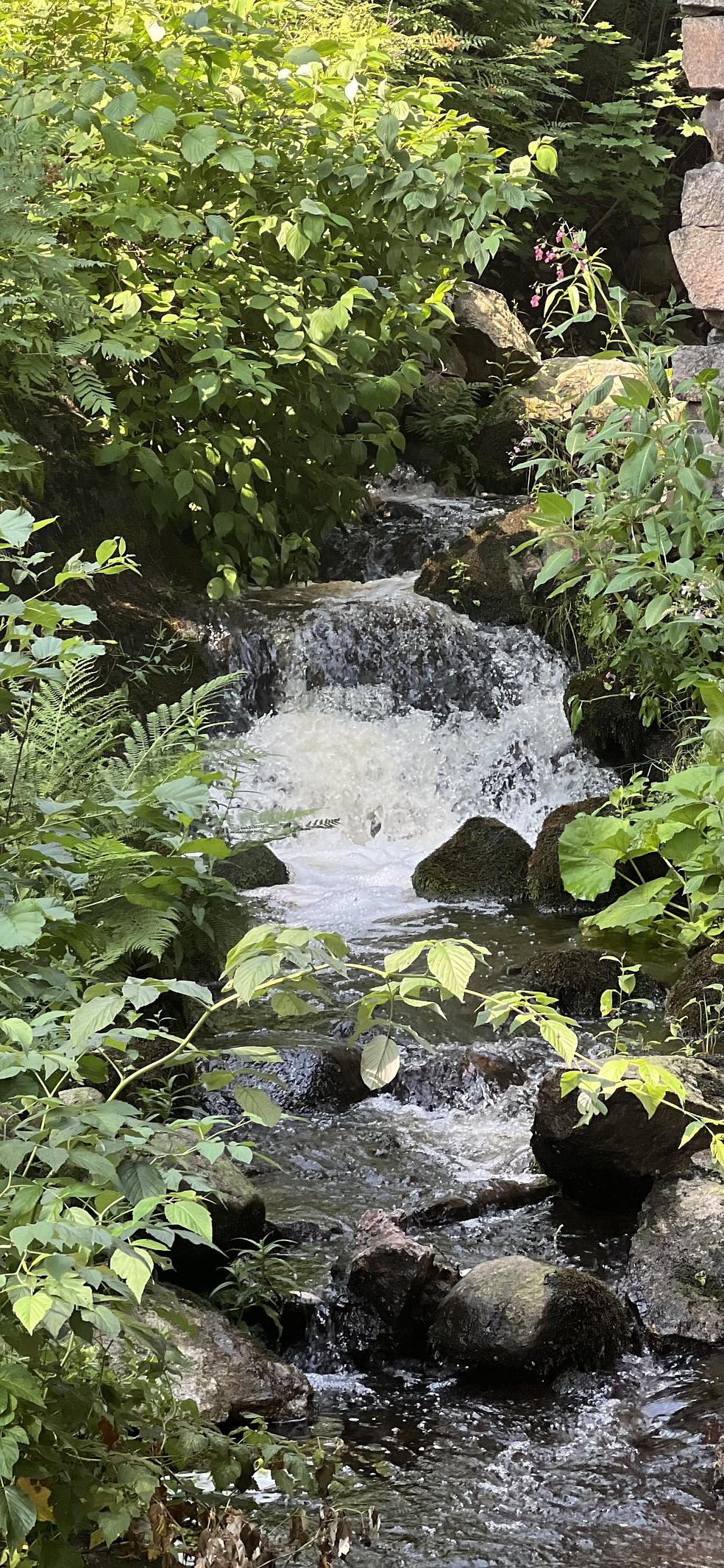 🌙 Surun Viisaus  – Säätelyn ja Lempeyden viikko by My Shine